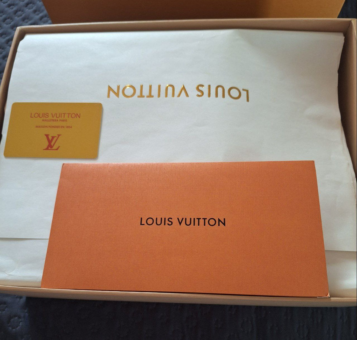 Louis Vuitton Skate