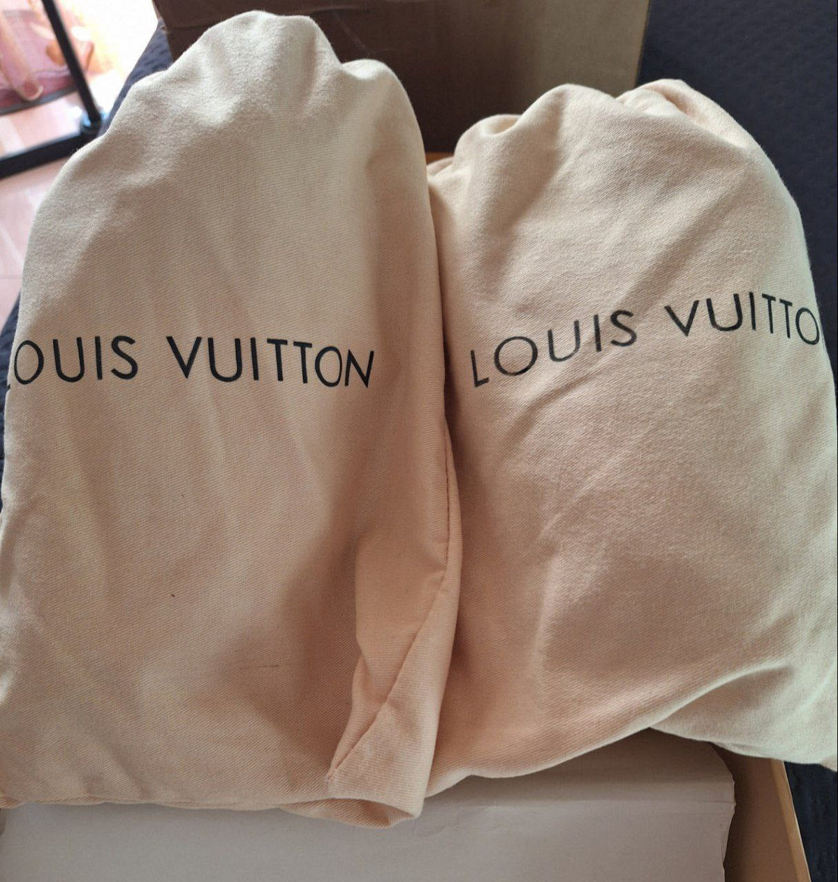 Louis Vuitton Skate