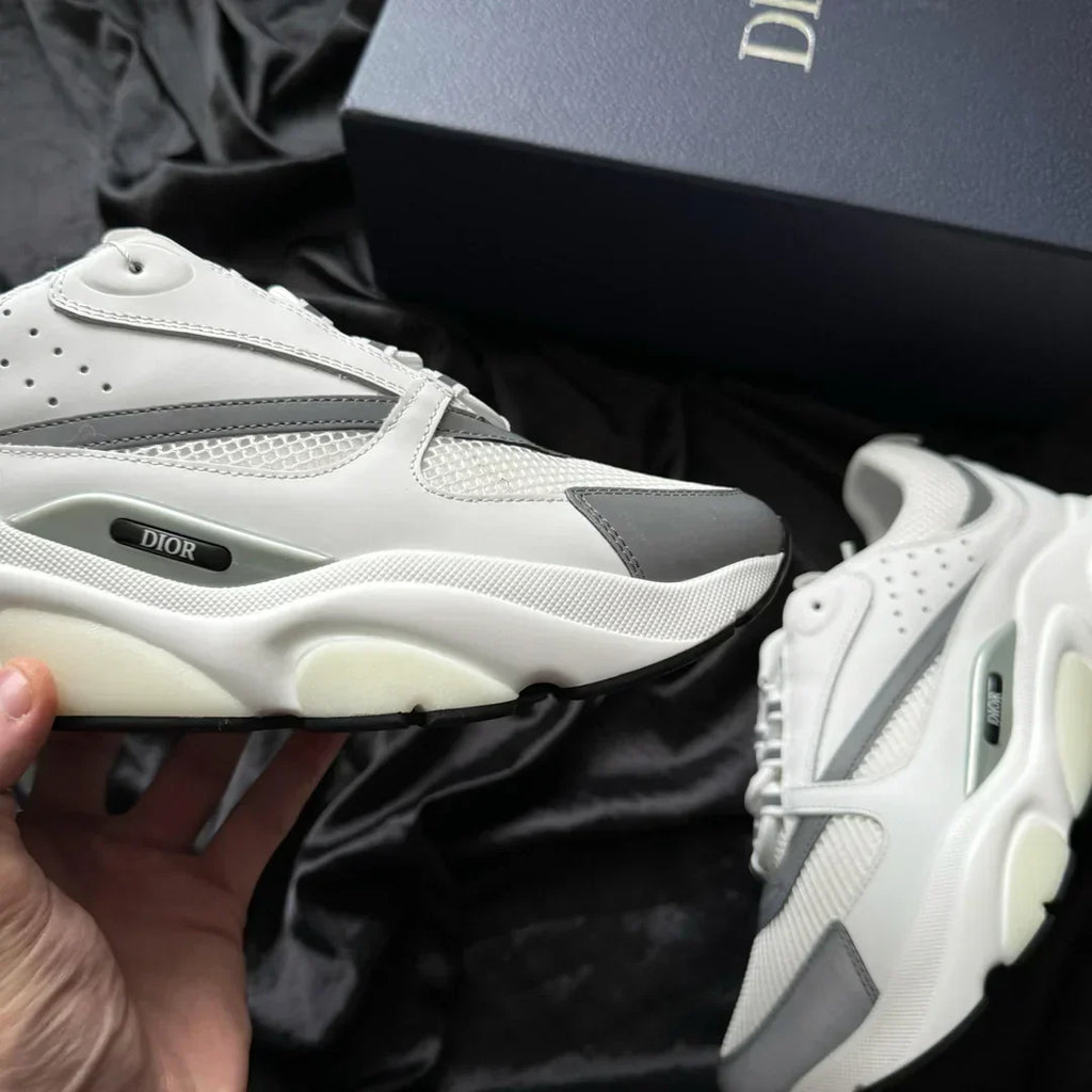 Dior B22