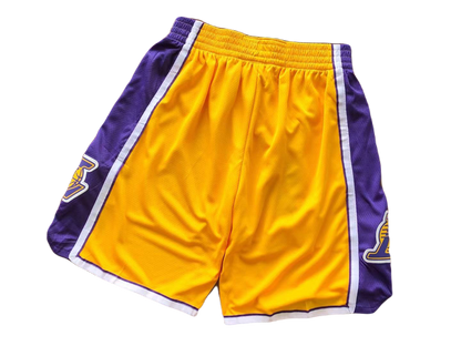 NBA BASKETBALL SHORTS Position 2